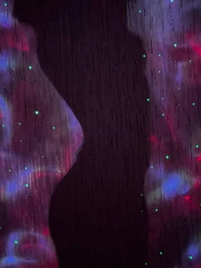 SolBurri: Shadow ( 3 фото)