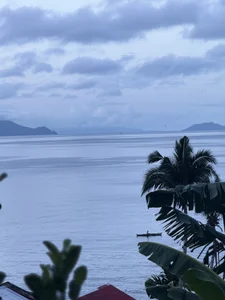 Zdjęcia my_k1tty Public:  8