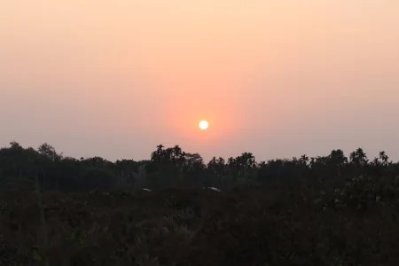 Bengali_hot_boy: Public ( фото)