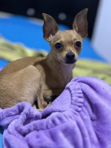 Wen_01 Coddy <3 Foto 4