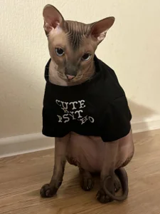 selina_coy my cats🐾😇💗 Foto 4