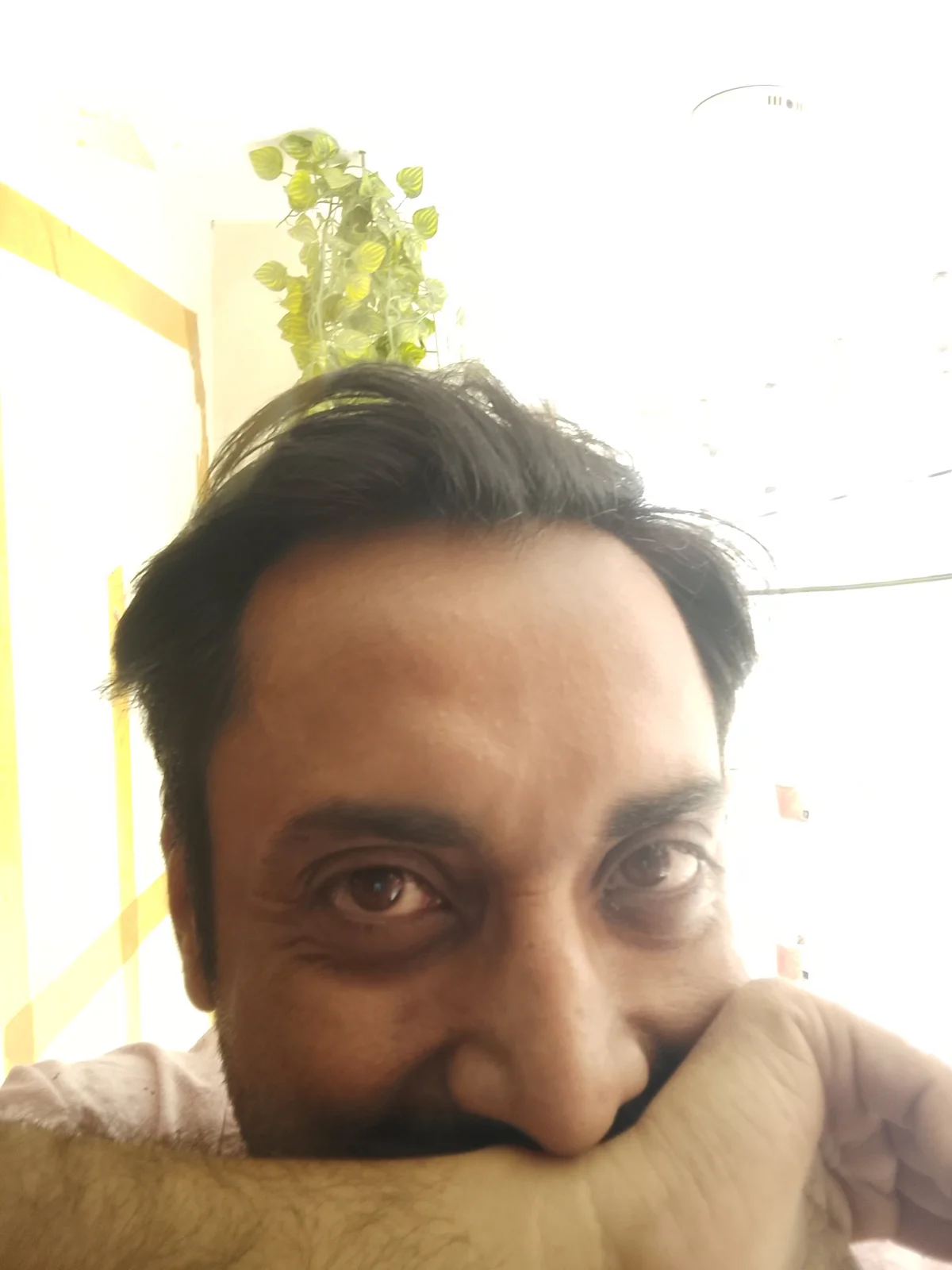 brownman69 Populært bilde 5544