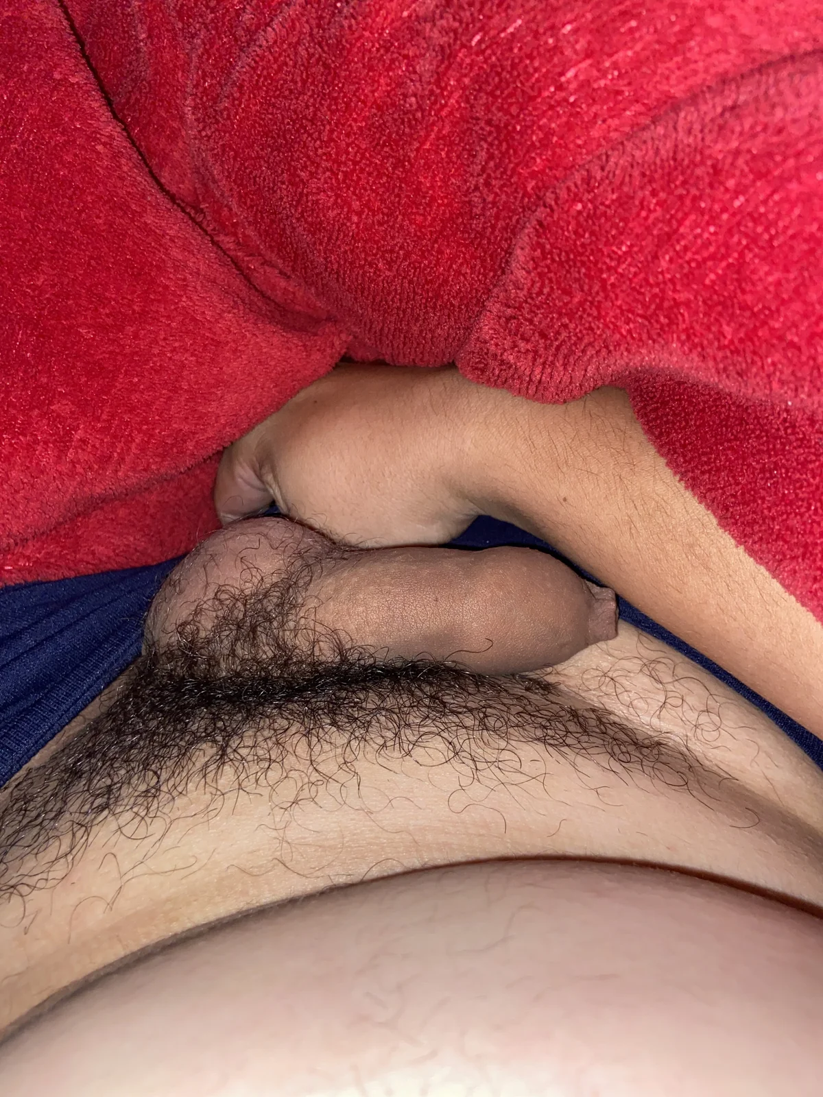 pelgaazul01 Populära bilder 7282