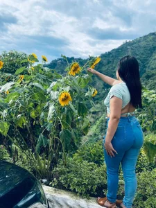 ayla13_ sunflowers 사진 2
