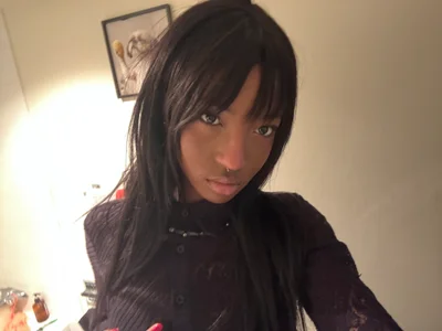 Public de talltattle  Imagens