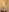 Photo of half wearing a yellow kurta ( back side ) 01