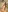 dazy_88_'s photo
