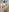 cochonne-62's photo