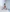 SashaHoneyVice's photo
