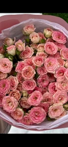 MelissaMelrey romantic Immagine  2