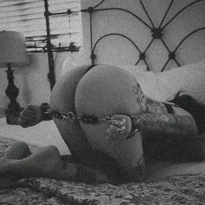 lyonking7さんのトレンドな 2606枚の写真