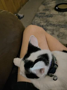 rainbow9028 About me Εικόνα 3