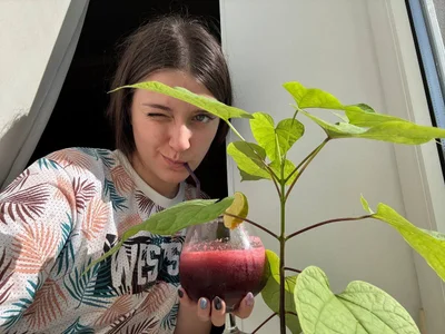 JessicaJewells ☀️☀️☀️ Immagine  2