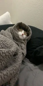 Nathcurly_ 2024 🪔 Pic