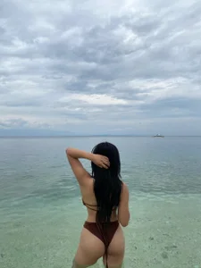 Urasian_ladybugPublic Bild