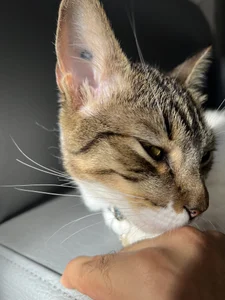 DanteAndVictoria kullanıcısının So hot albümü -  5 fotoğraf