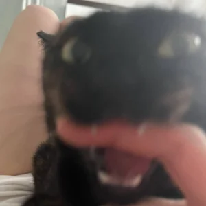 rara_ruru Eve Immagine 