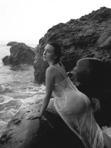 purpurmonstr Sea Billede 8