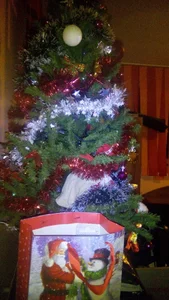 Special outfits for christmas perios de Imperatriza  3 Imagens