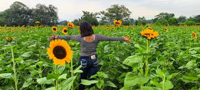 1julianasalazar a band-aid to the heart / una tirita para el corazón Pic 5