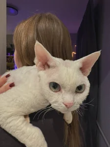 ami_amour_ Dracoooo✨🤍 Immagine 