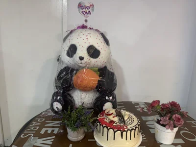 Cleo_luna How was my birthday Foto 3