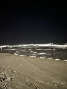 SweetFoxEyes_ Public Hình 5