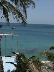 Kurohyooo on the beach Pic 3