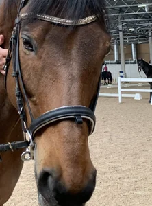 Malena_Mimy hobby Bild 9