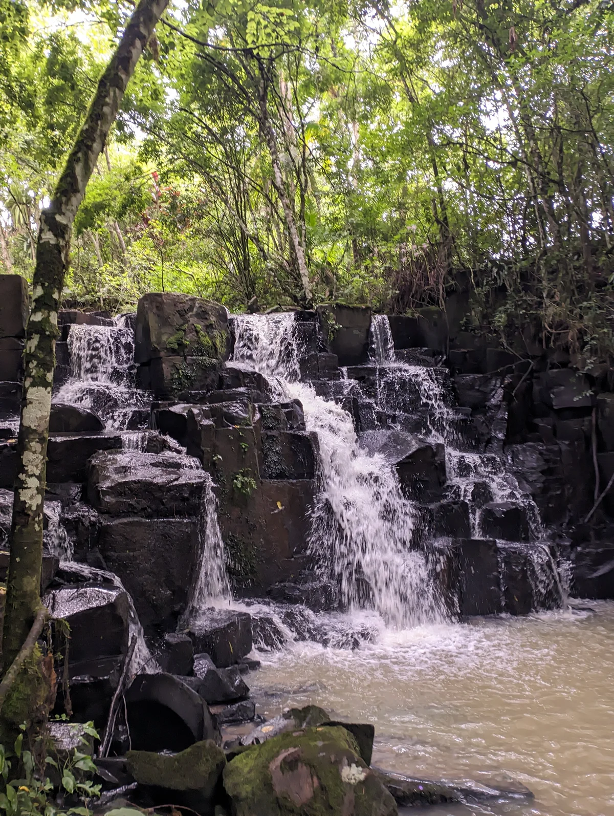 ianzinho Image populaire  7596