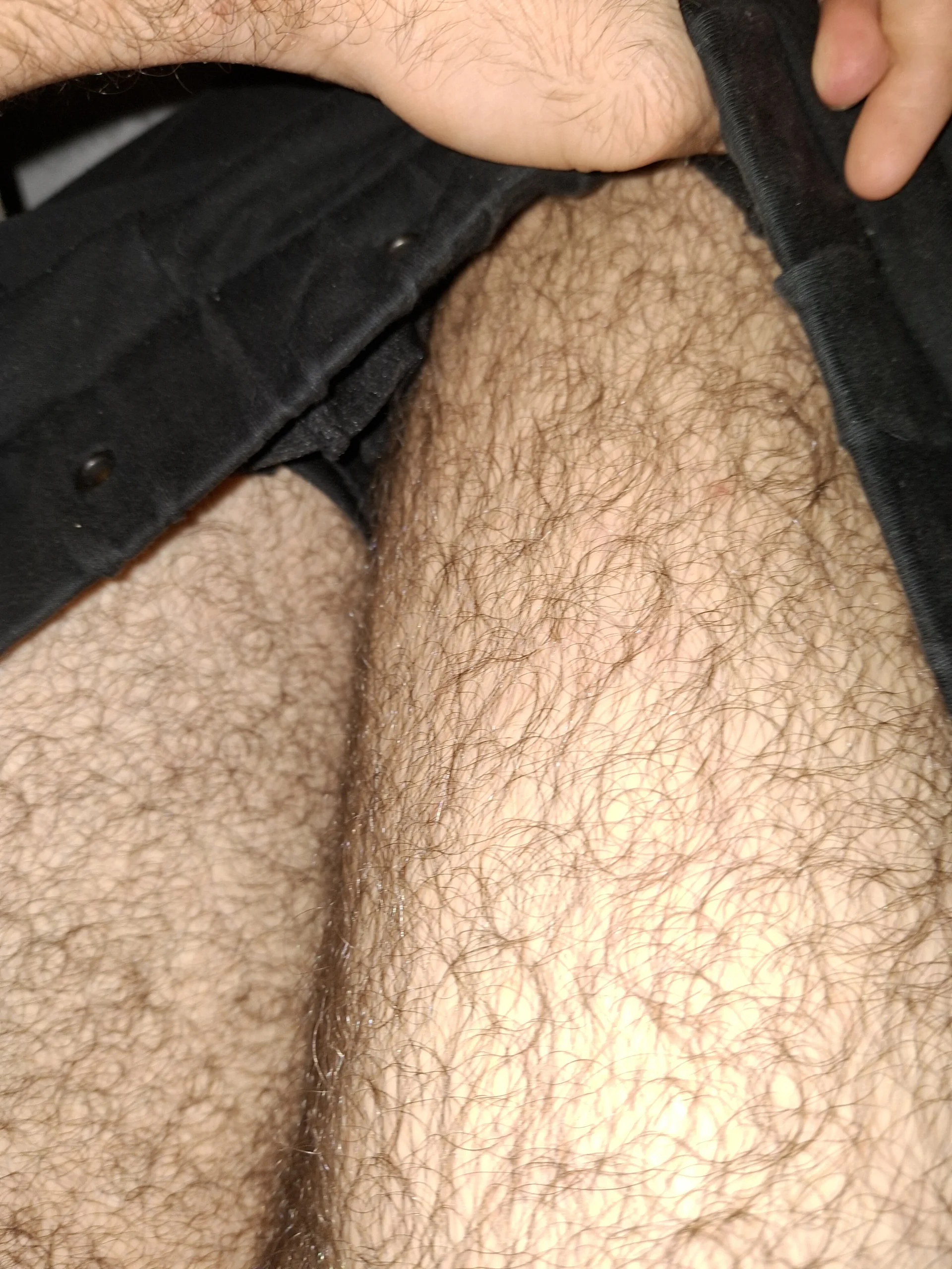 virginhairyboy20Public Bild