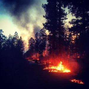 MotoGuy4life Public Pic 5