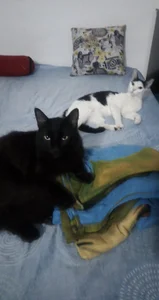 selena_moon98♥♥♥ My pets ♥♥♥图片 3