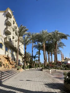 CelesteBailey In My Free Time 💕 Kuva 8