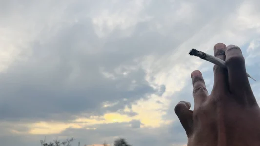 DICK5016: Public ( фото)