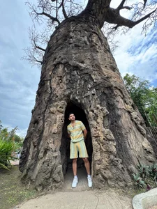 samuelcoopeer Tropi session 💕🌸 Foto 9