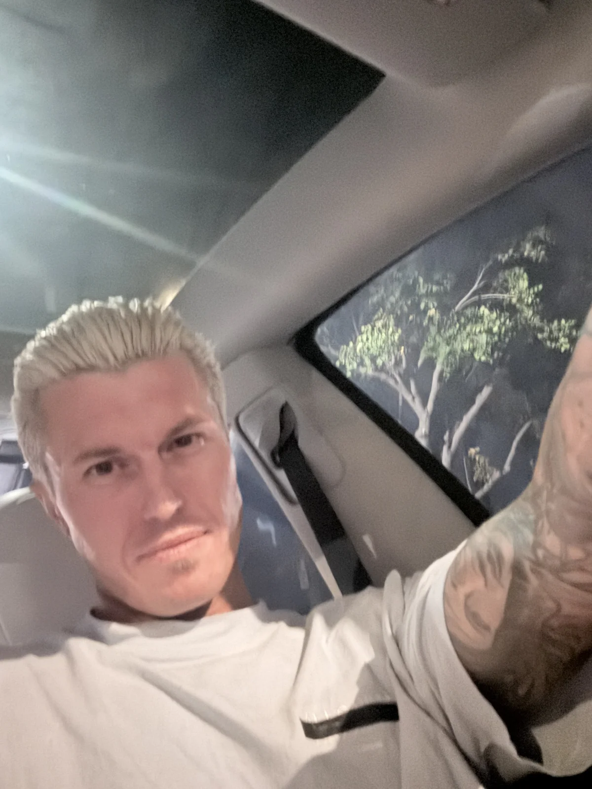tattednblonde Populära bilder 2375