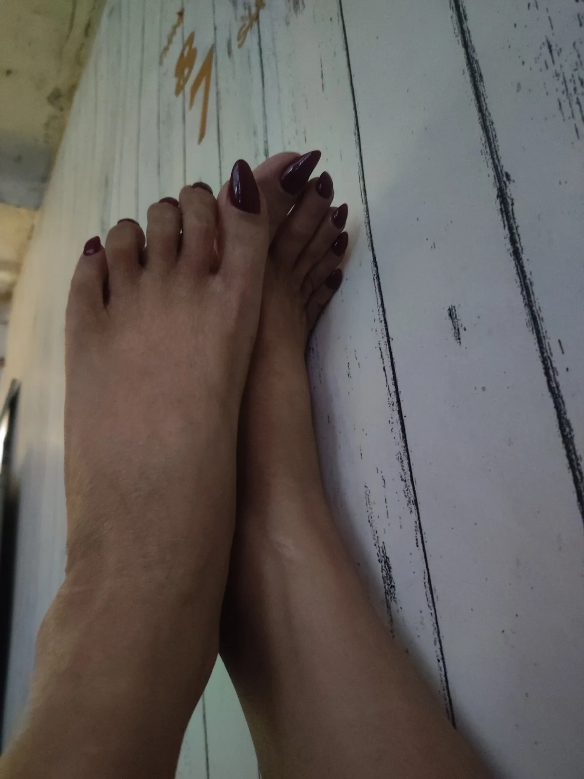 TSLucyPearlxxx Aktuellstes Foto 7755