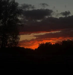 royce_ghost1 The Aesthetics of My Weekend รูป  6