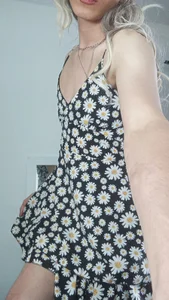 Andy_RosesPublic Bild 2