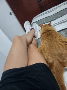 Public de Milfangel1  9 Imagens