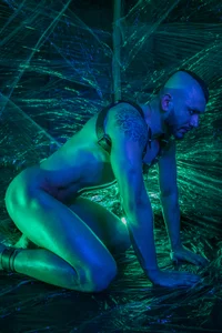 castle_87: PLASTIXX GROOVE!!! ( 6 фото)