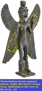 ExquisiteMature Corona Virus Poză