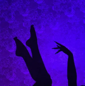 silhouette de TaylorDavids  3 photos