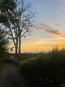 ElectraaJoness Public  2টি ছবি