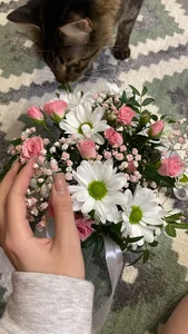 Kamila_icee Thank you, gentlemen♥️ slika 5