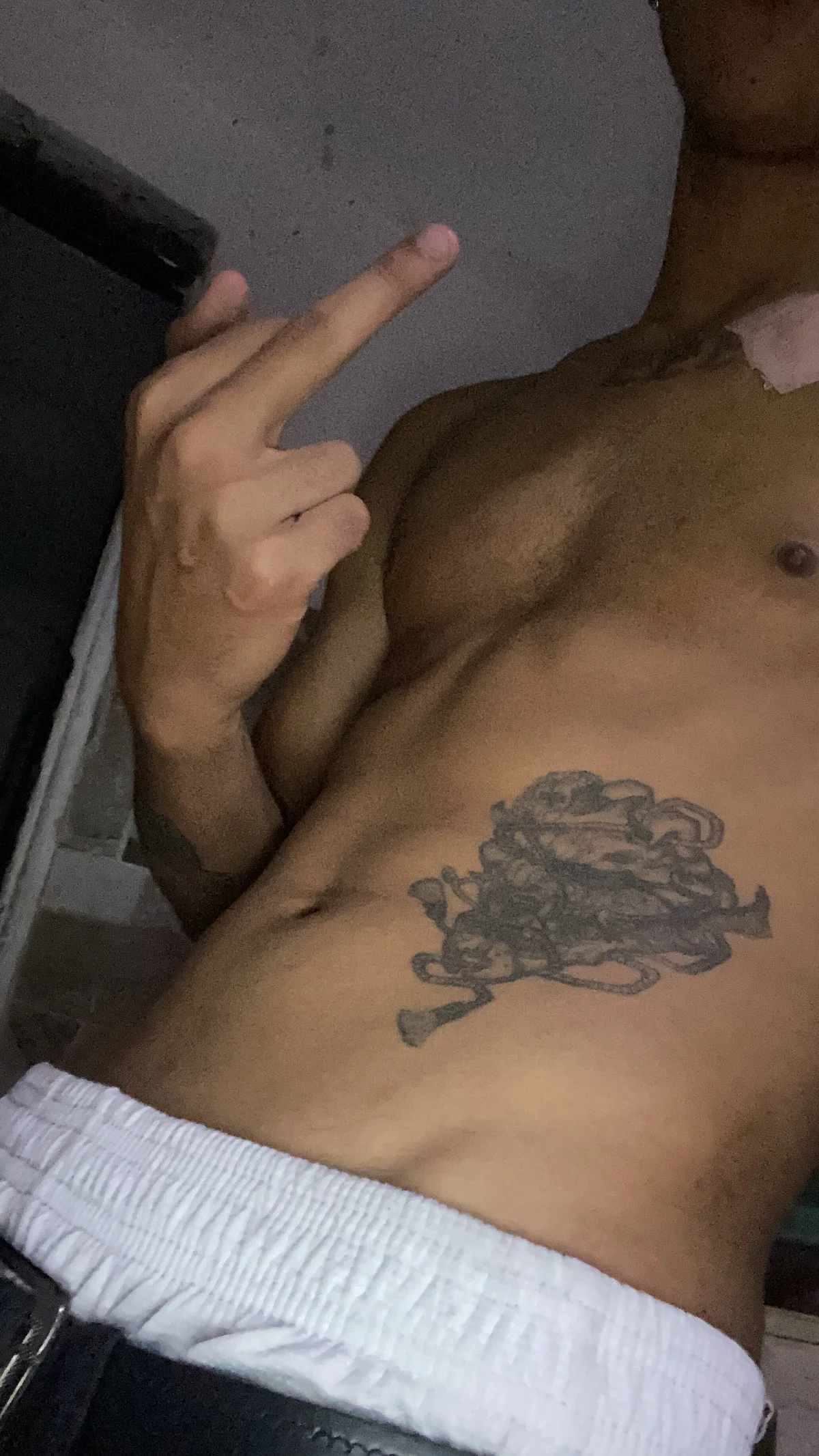 hares_mds Trending Pic 7284