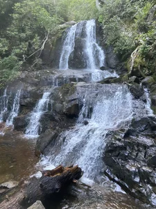 chunky_3 Public Immagine  4