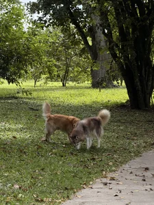 Zdjęcia ghaydaa_jamil :5: 