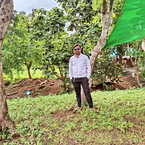 Public de pintuS40  5 Imagens